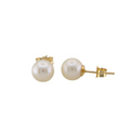 Pearl Stud Earrings