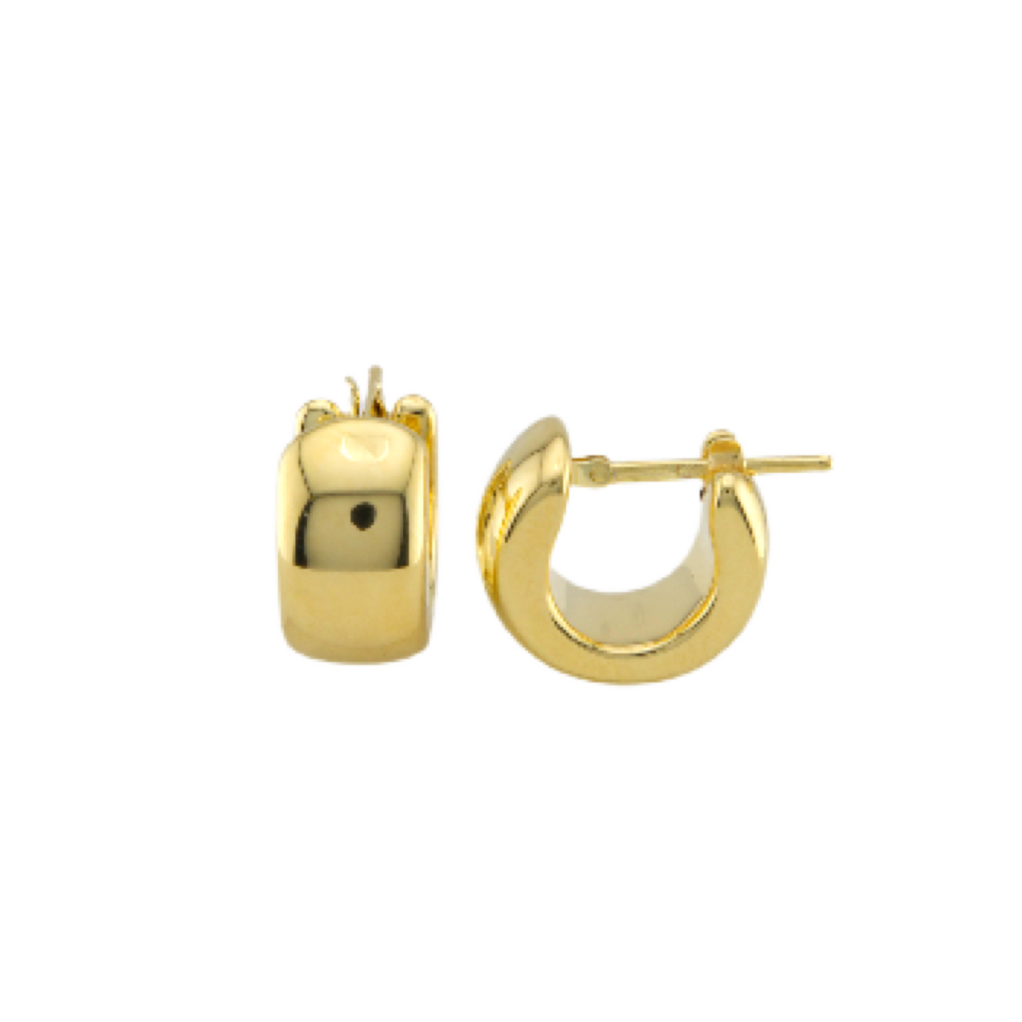 Ultra Fancy Hoops Earrings