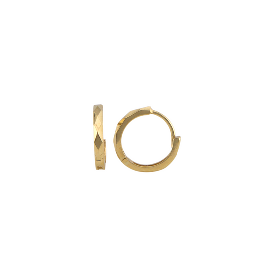 Fancy Hoops Earrings