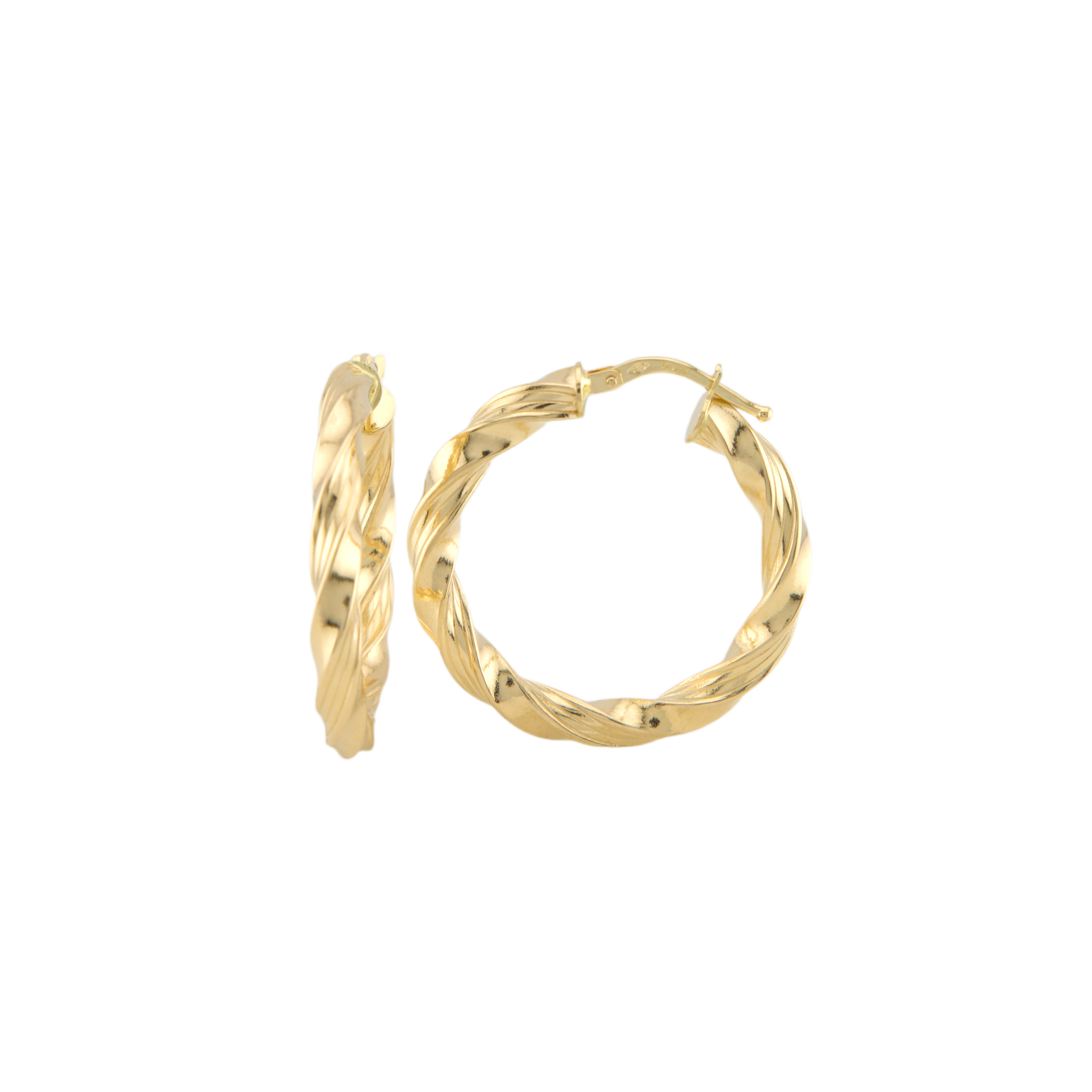Fancy Twisted Hoops Earrings