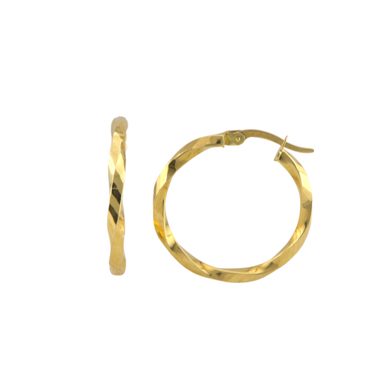 Twisted Hoops Earrings