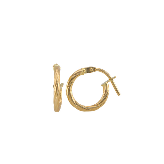 Twisted Hoops Earrings