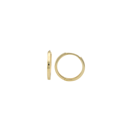 Plain Hoops Earrings