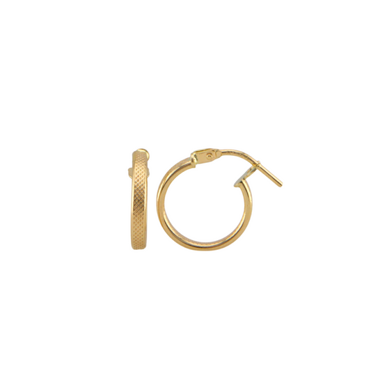Plain Hoops Earrings