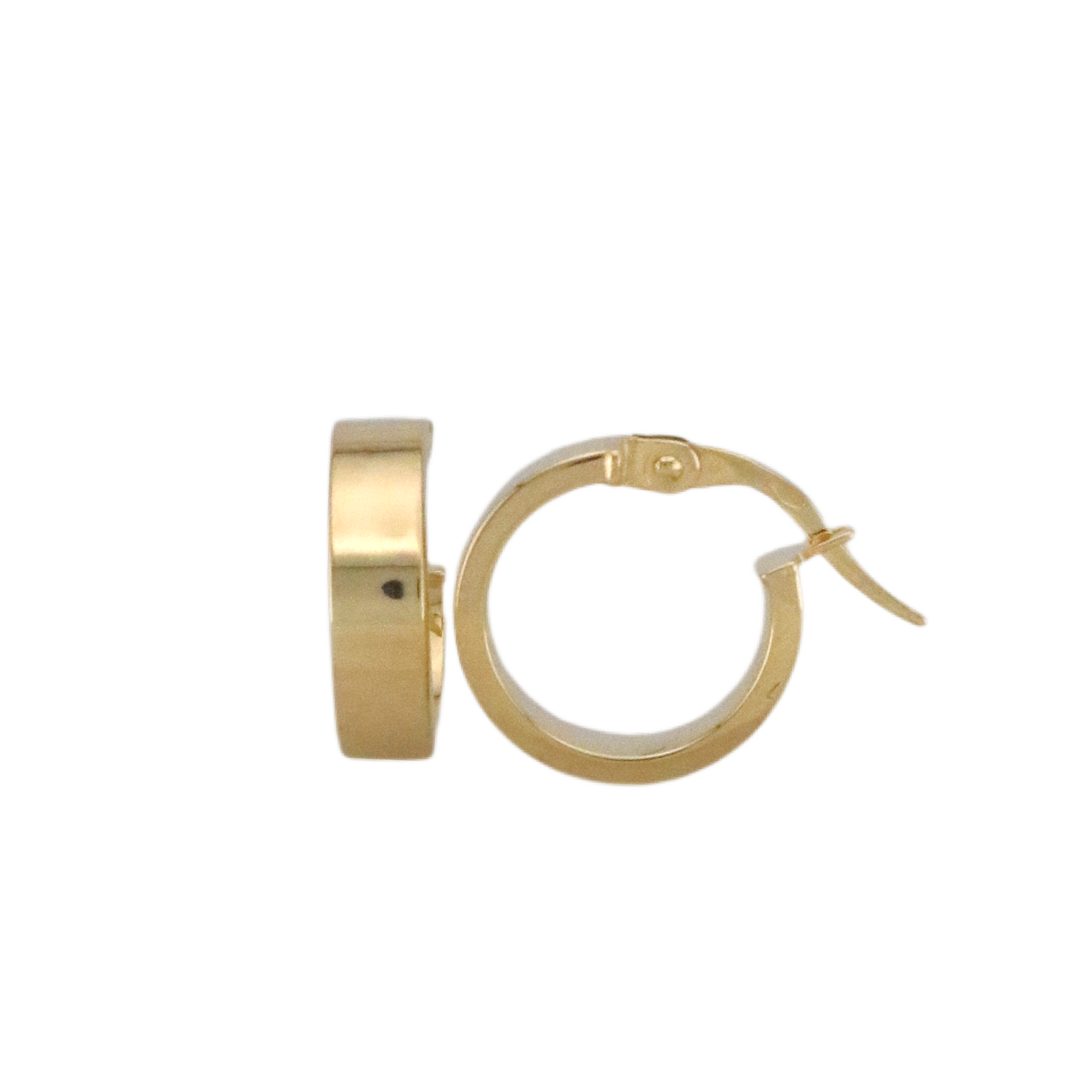 Plain Hoops Earrings