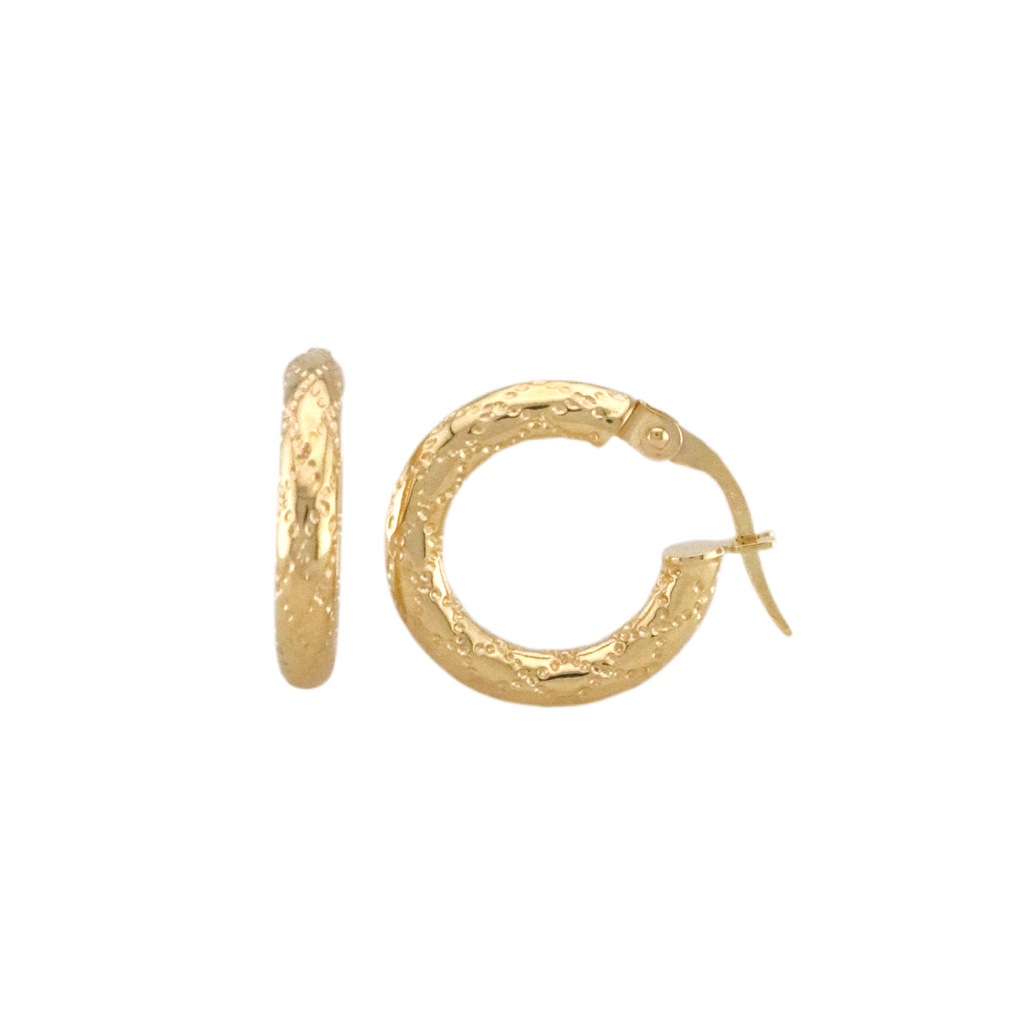 Fancy Hoops Earrings