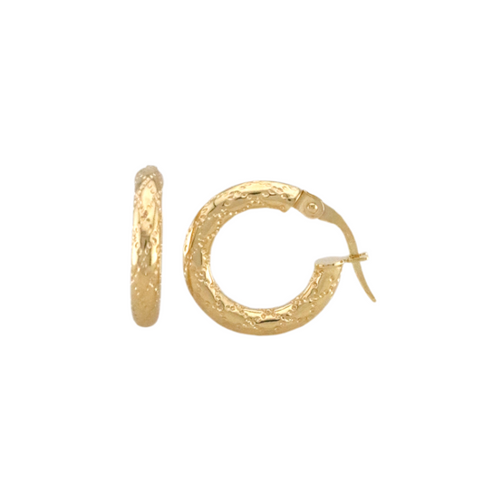 Fancy Hoops Earrings