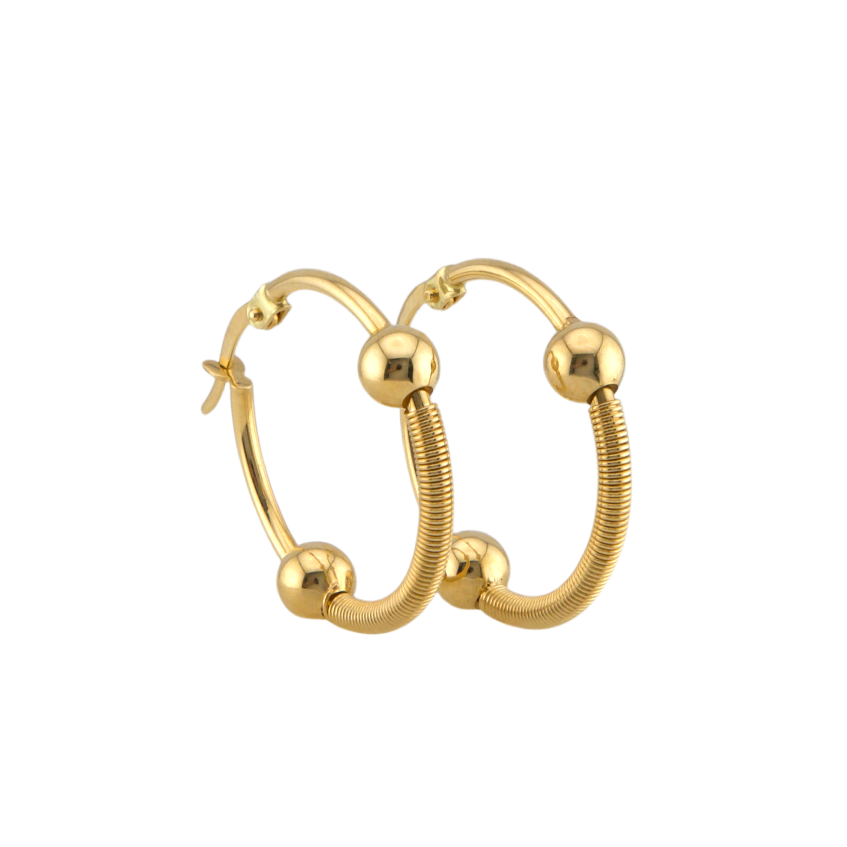 Fancy Hoops Earrings