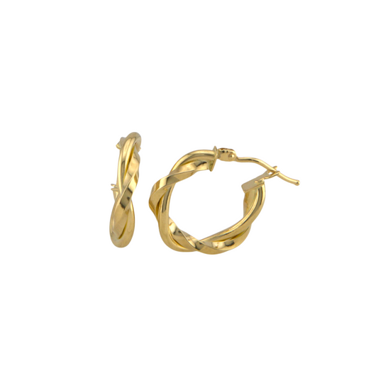 Twisted Hoops Earrings