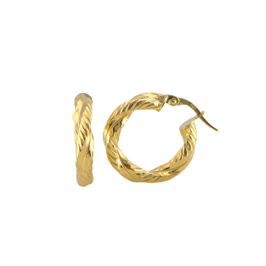 Fancy Hoops Earrings