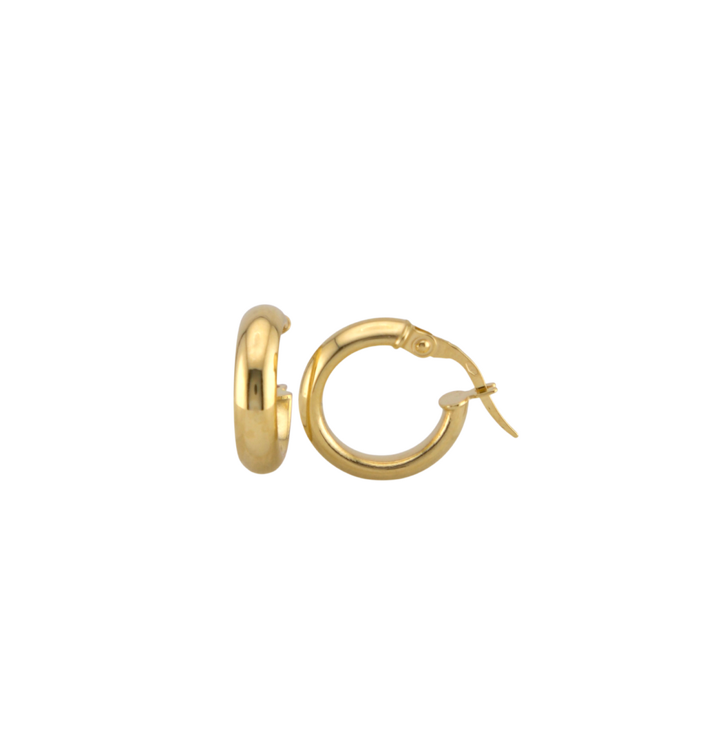 Plain Hoops Earrings