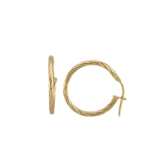 Twisted Hoops Earrings