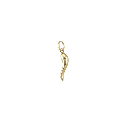 Gold Horn Pendant