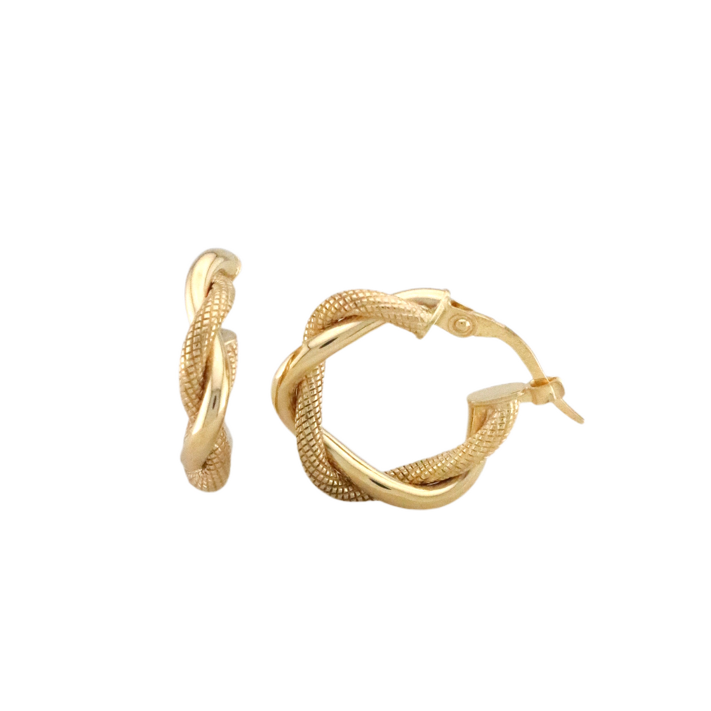 Twisted Hoops Earrings