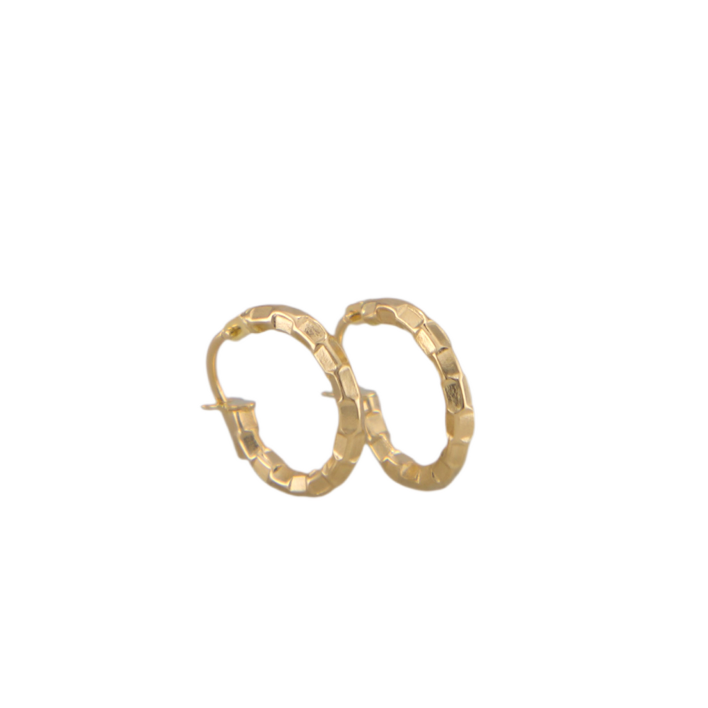 Fancy Hoops Earrings