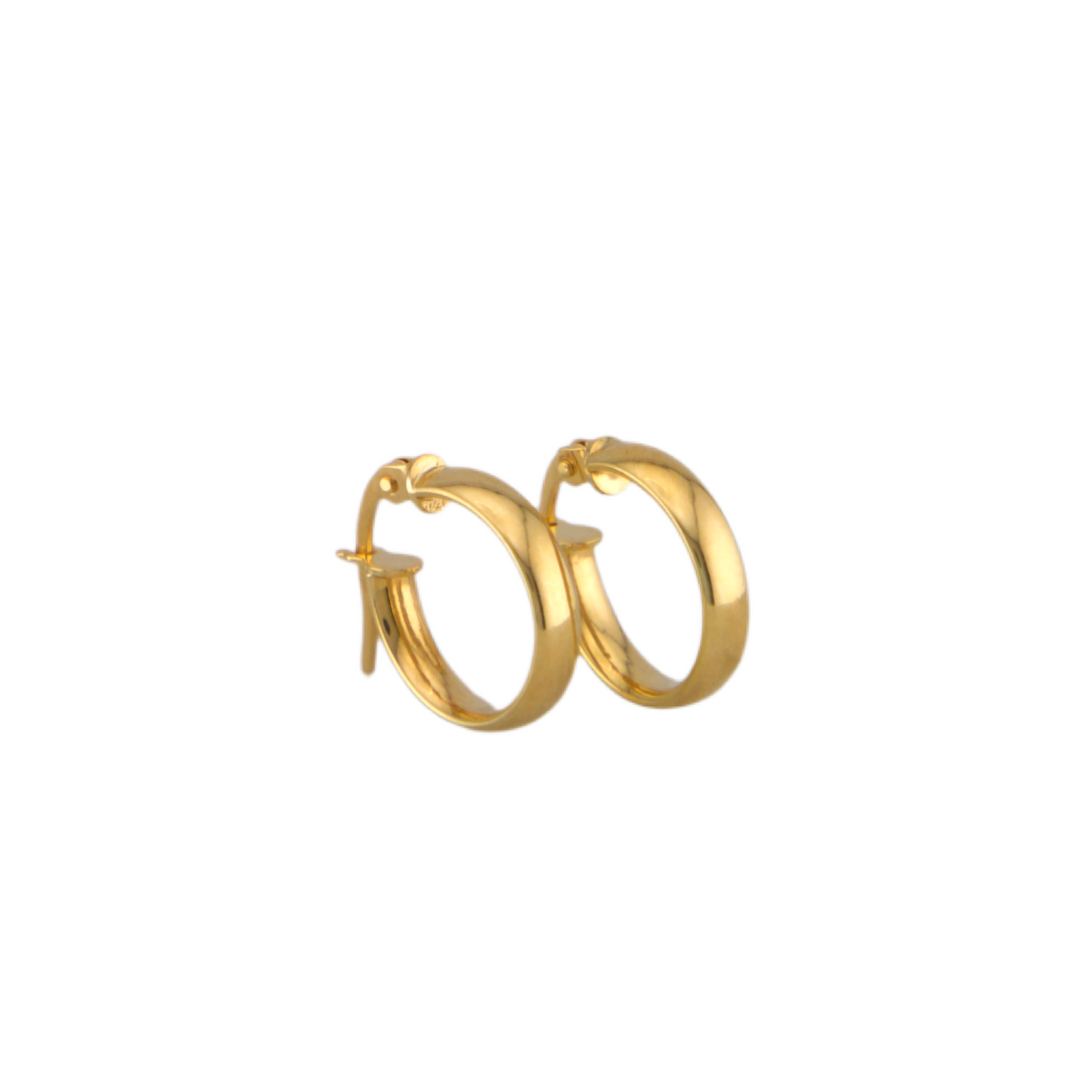 Plain Hoops Earrings