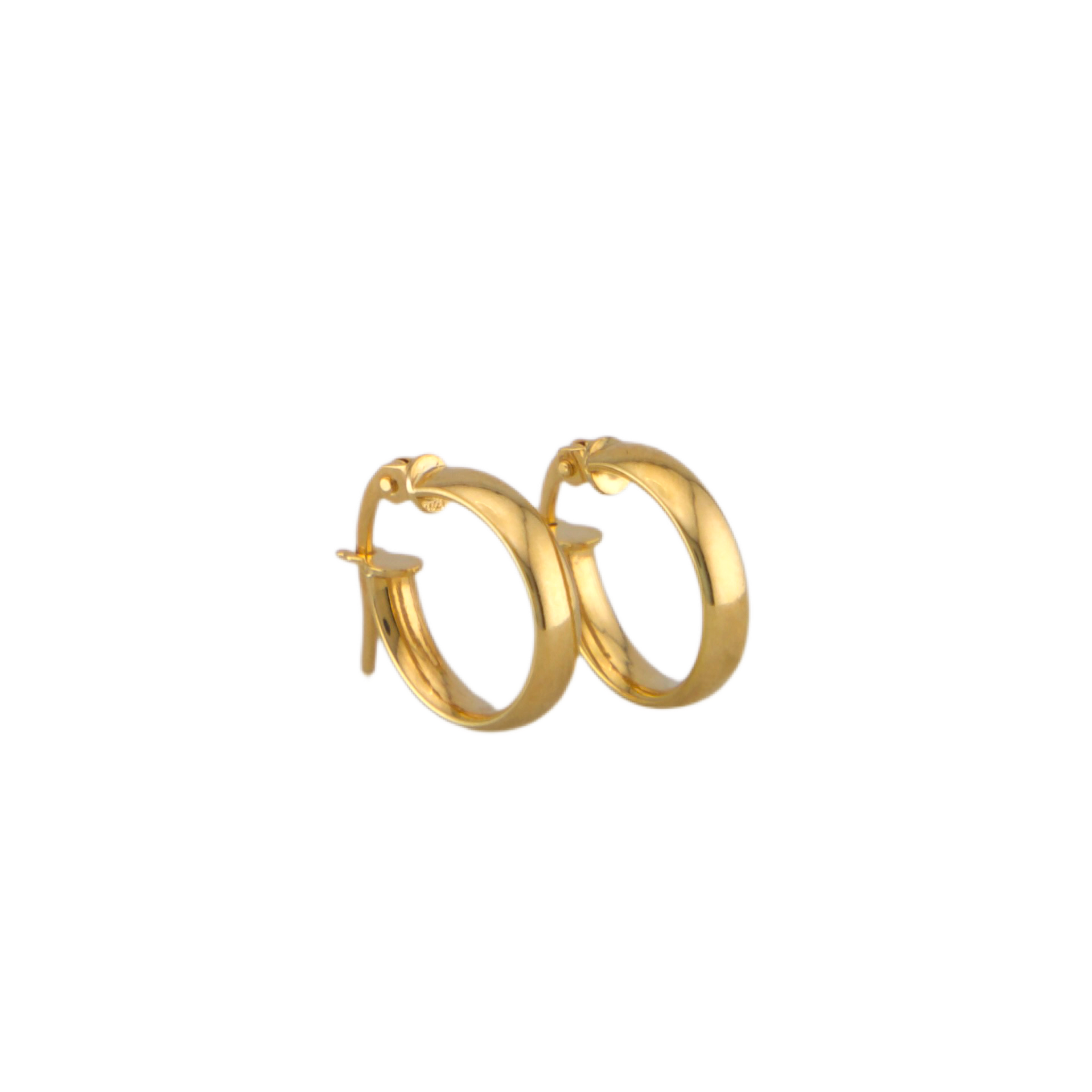 Plain Hoops Earrings
