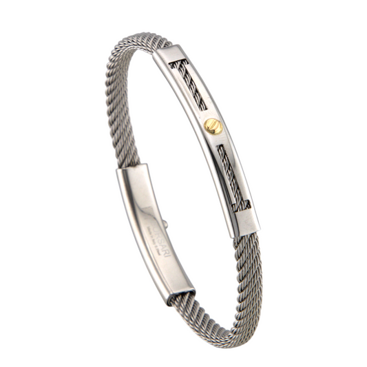 Stainless Steel & Gold Bracelet