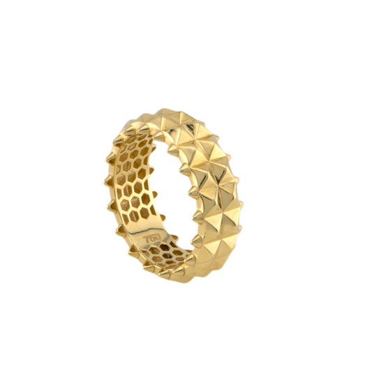 Fancy Ring