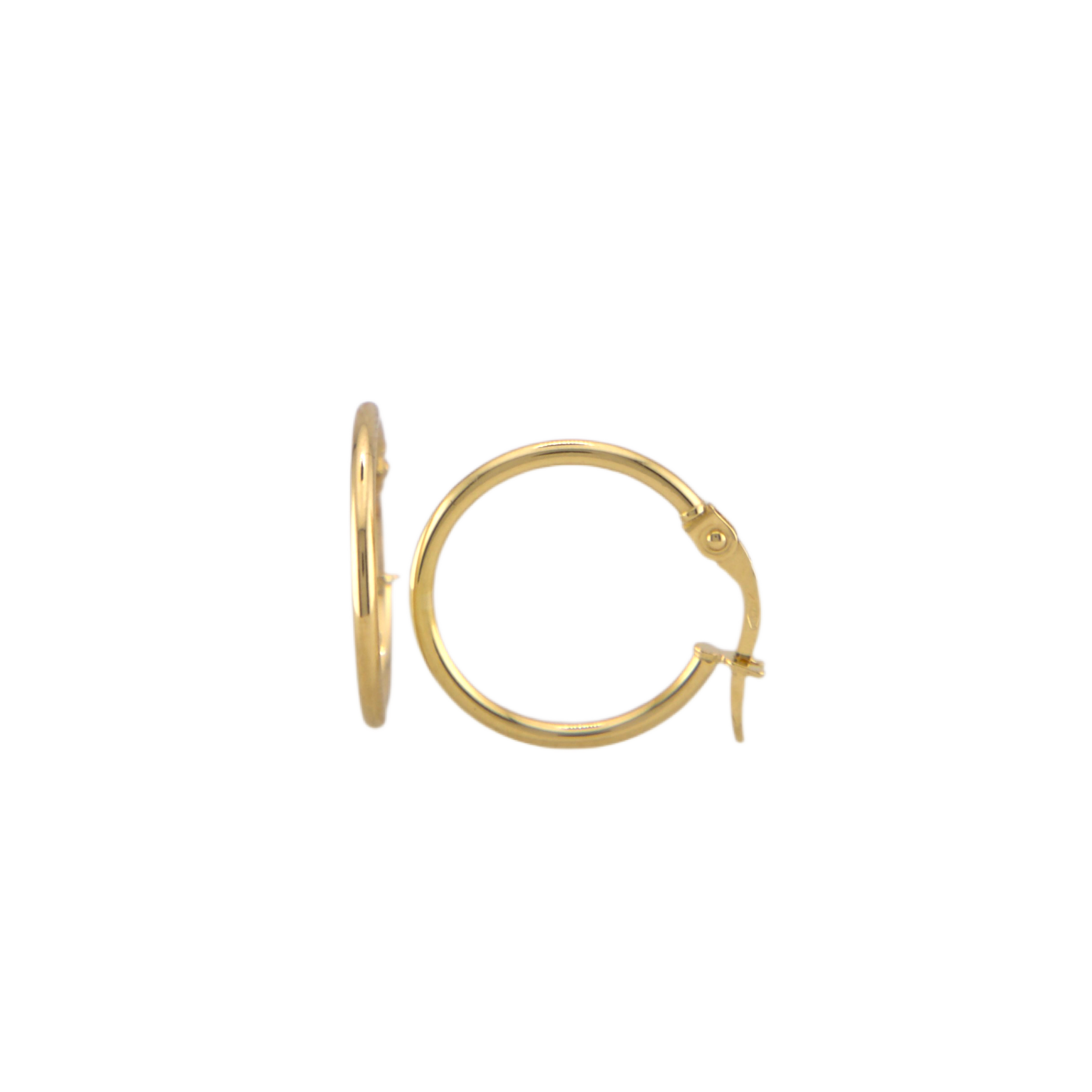 Plain Hoops Earrings