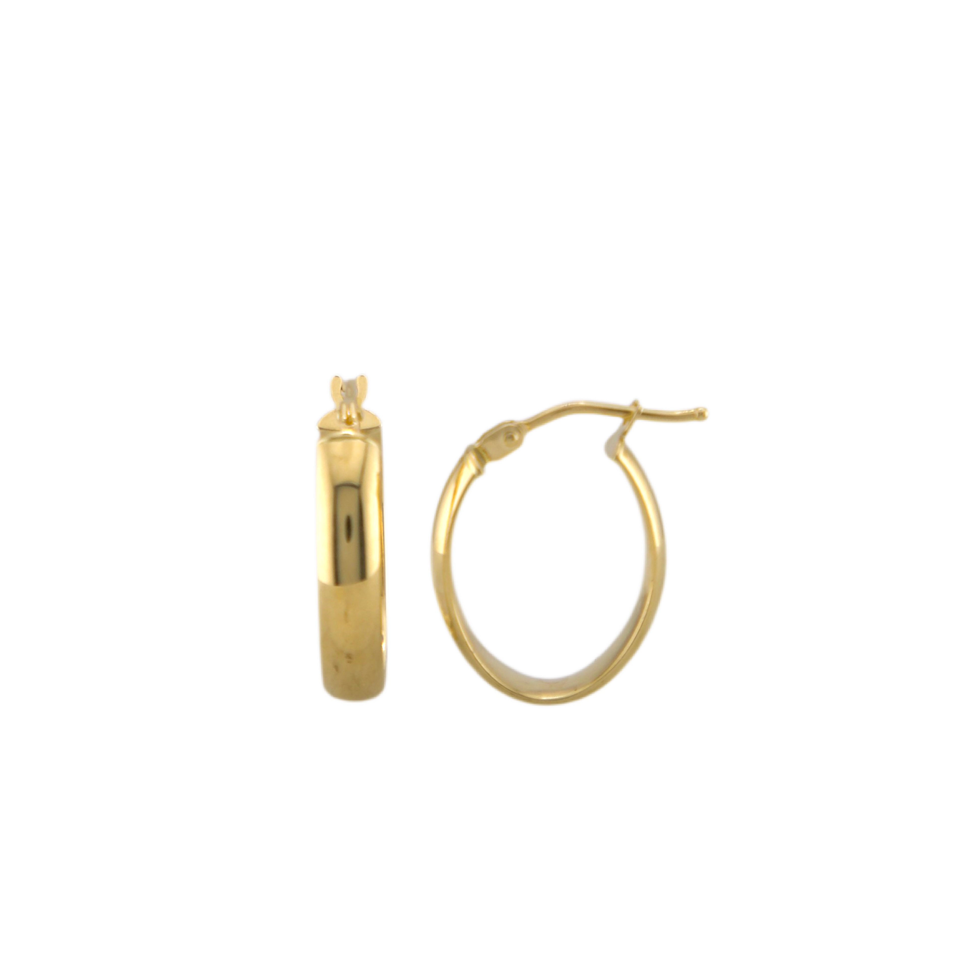 Fancy Hoops Earrings