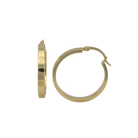 Fancy Hoops Earrings