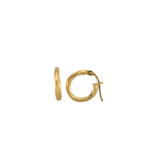 Twisted Hoops Earrings
