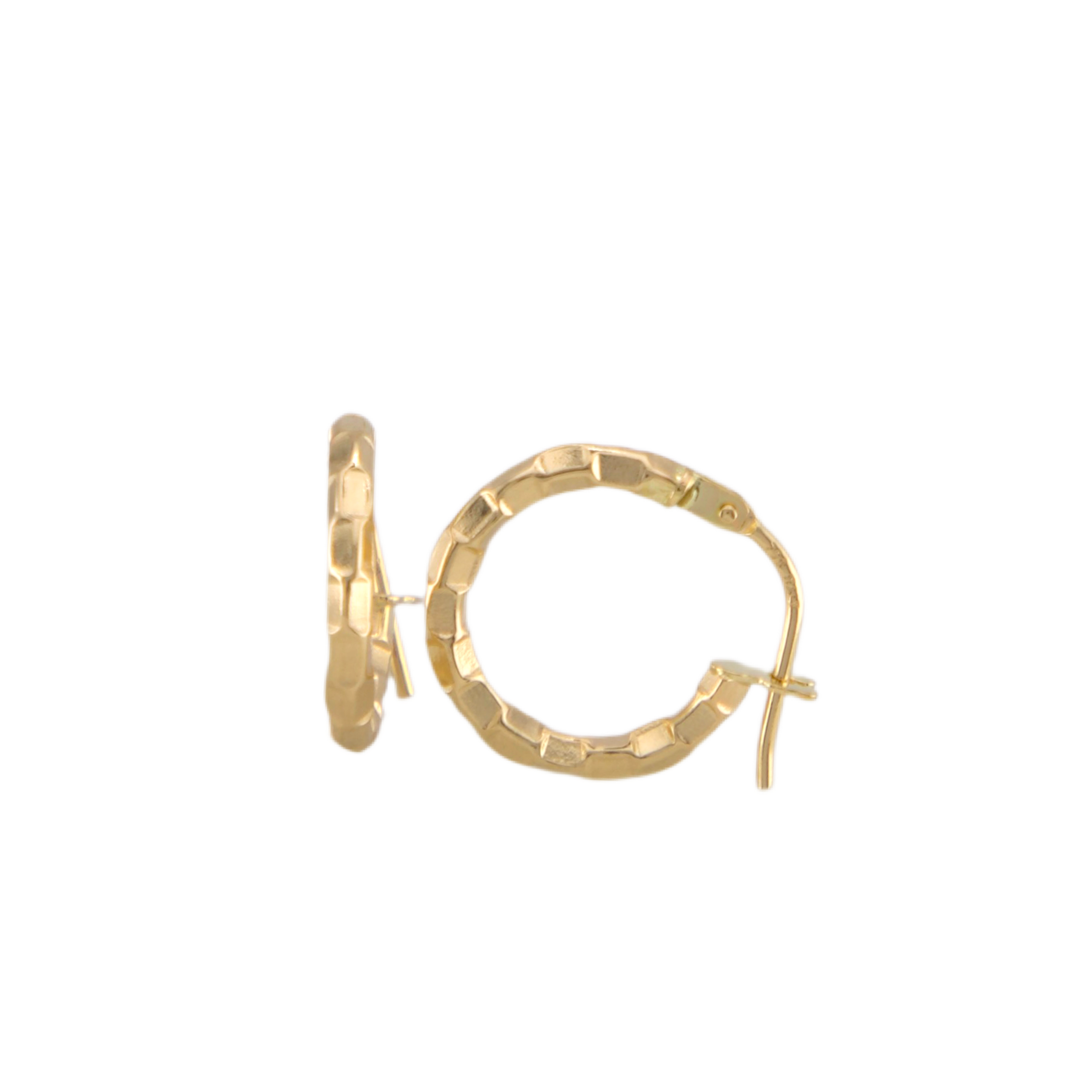 Fancy Hoops Earrings