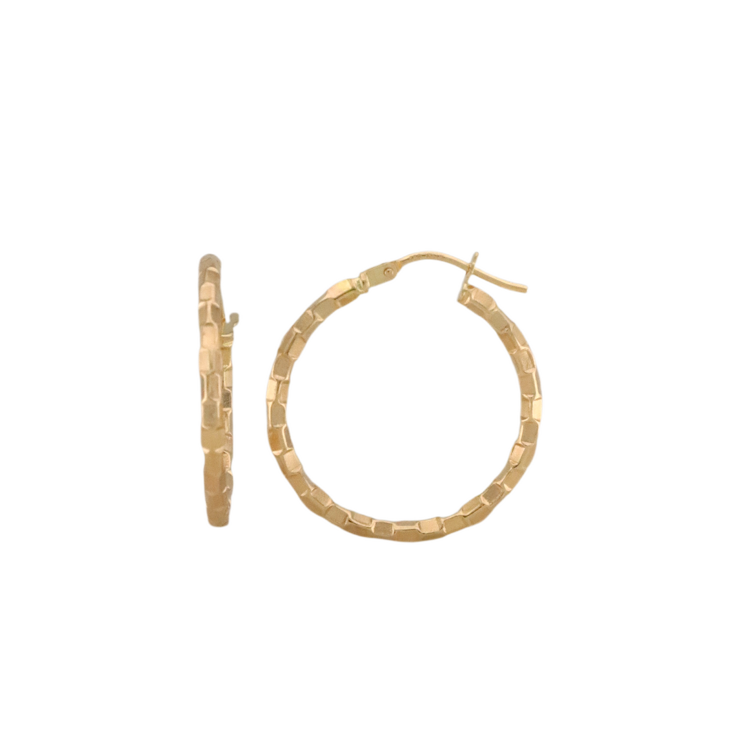 Fancy Hoops Earrings