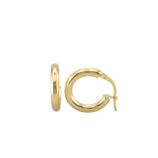 Plain Hoops Earrings