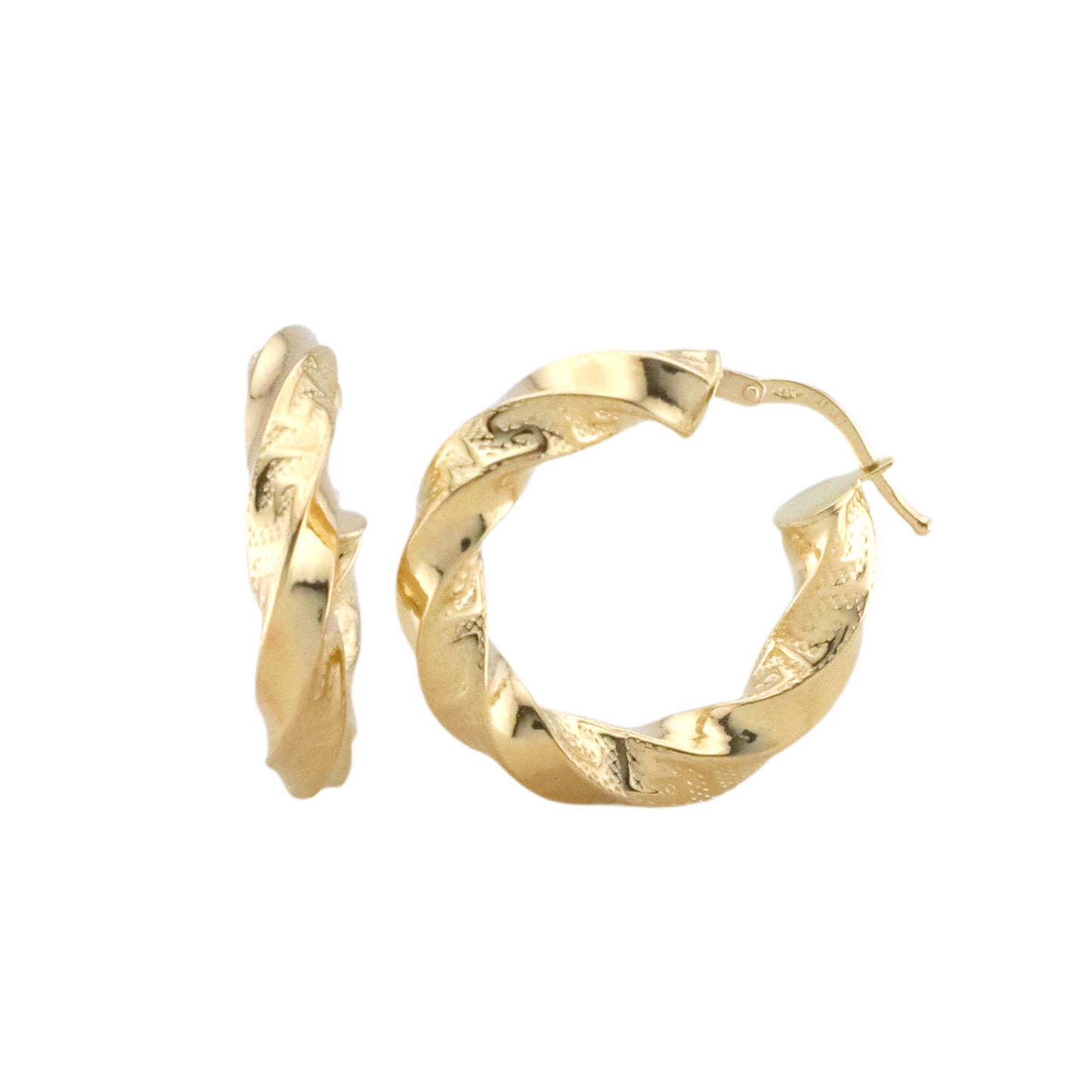 Twisted Hoops Earrings