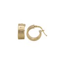 Fancy Hoops Earrings