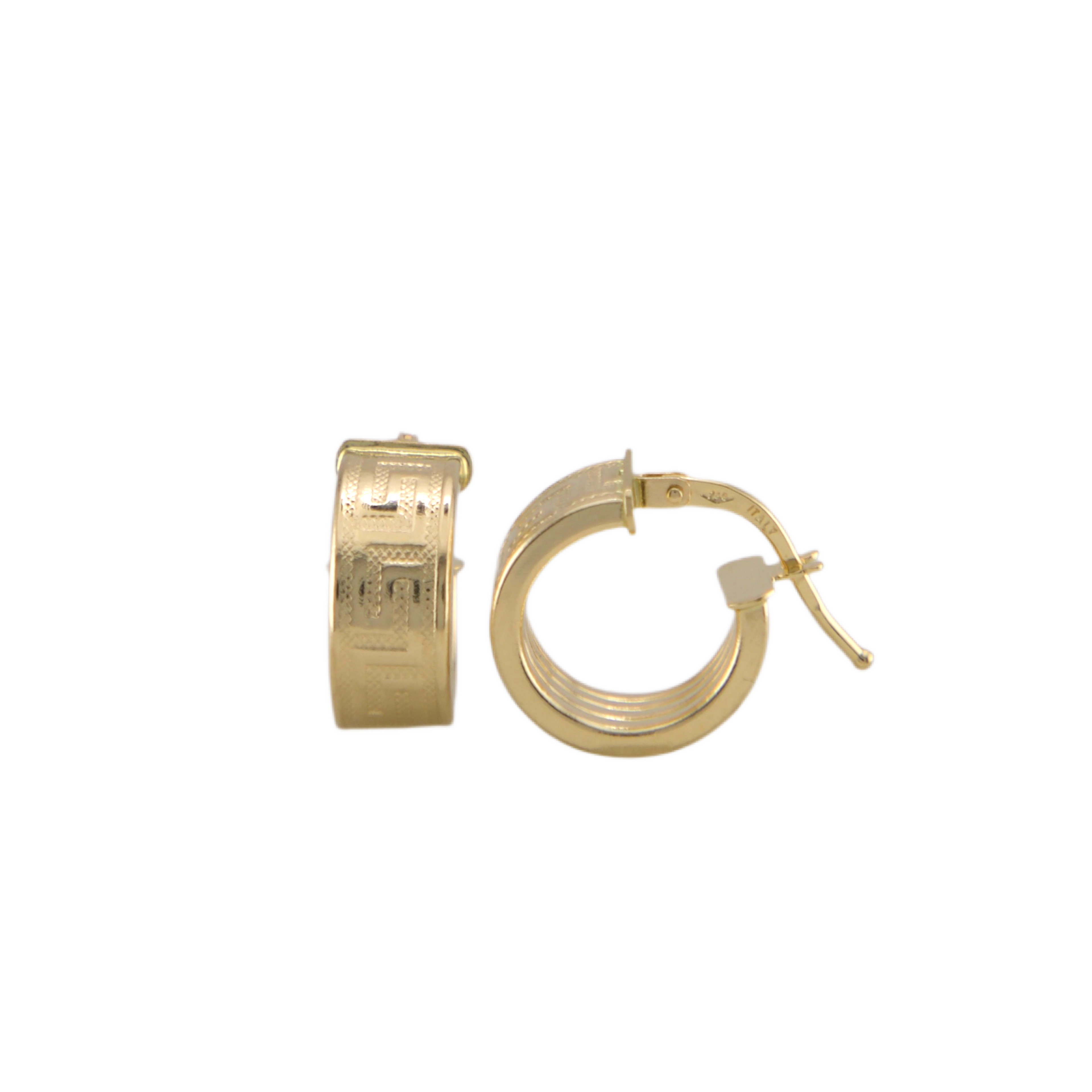 Fancy Hoops Earrings