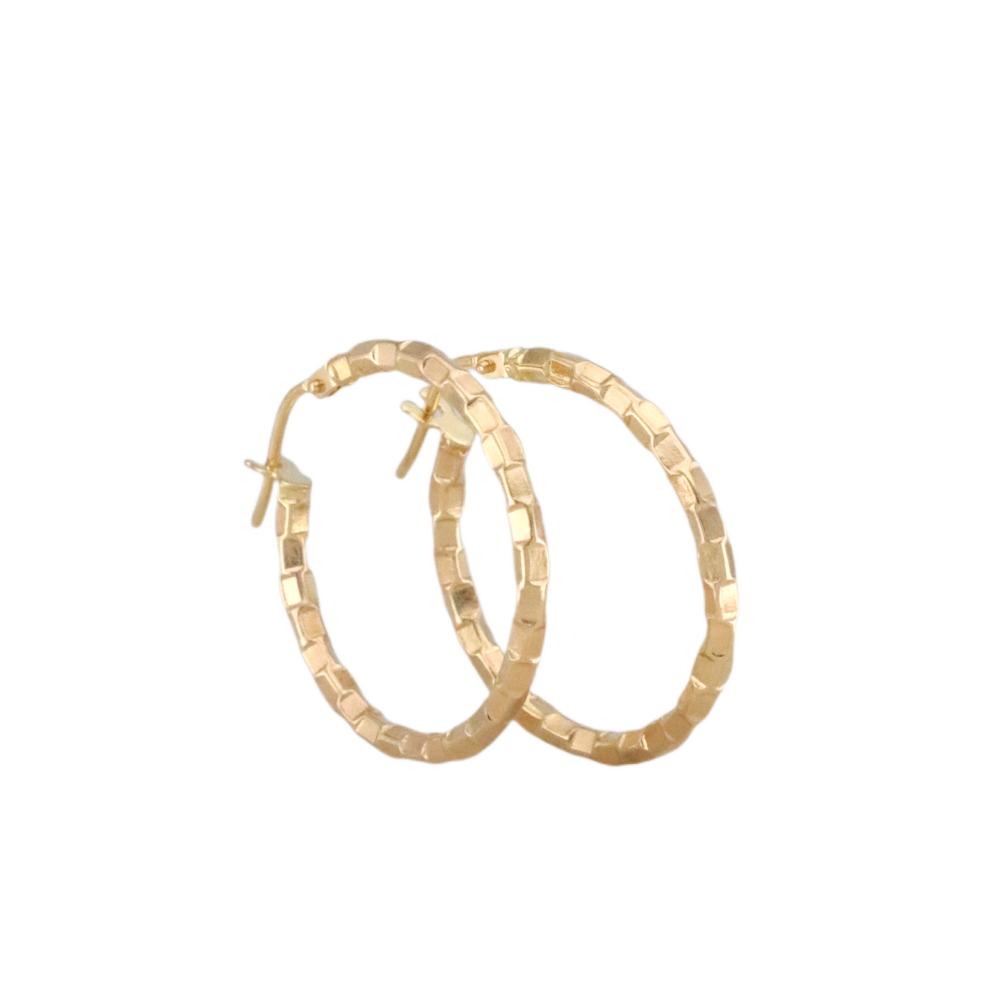 Fancy Hoops Earrings
