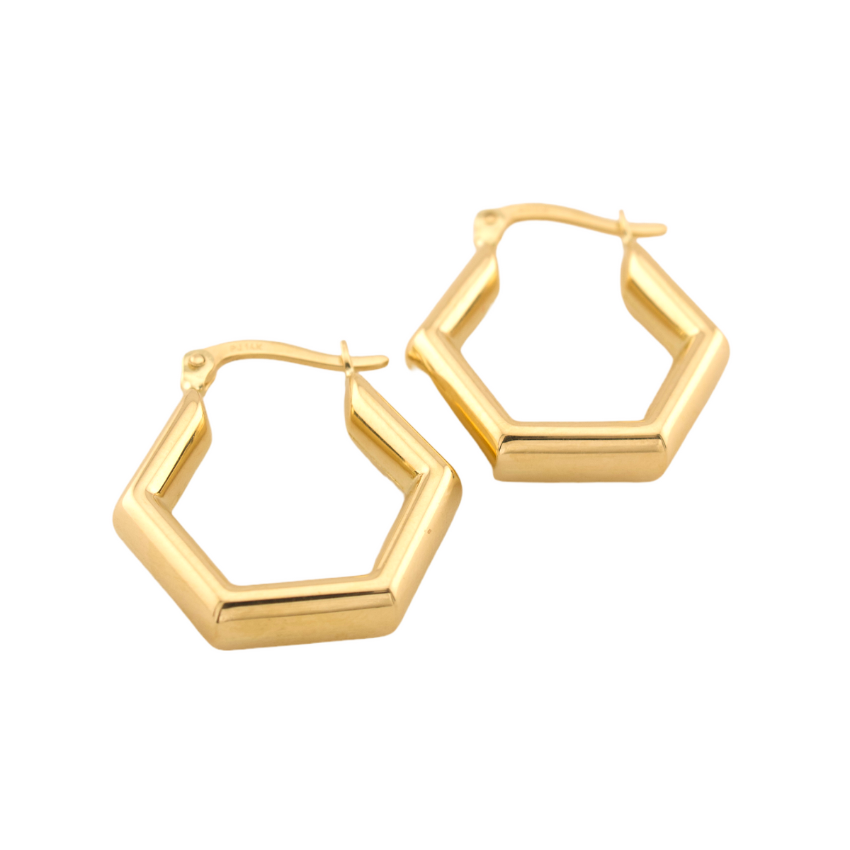 Fancy Hoops Earrings