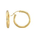Plain Hoops Earrings