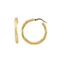 Twisted Hoops Earrings