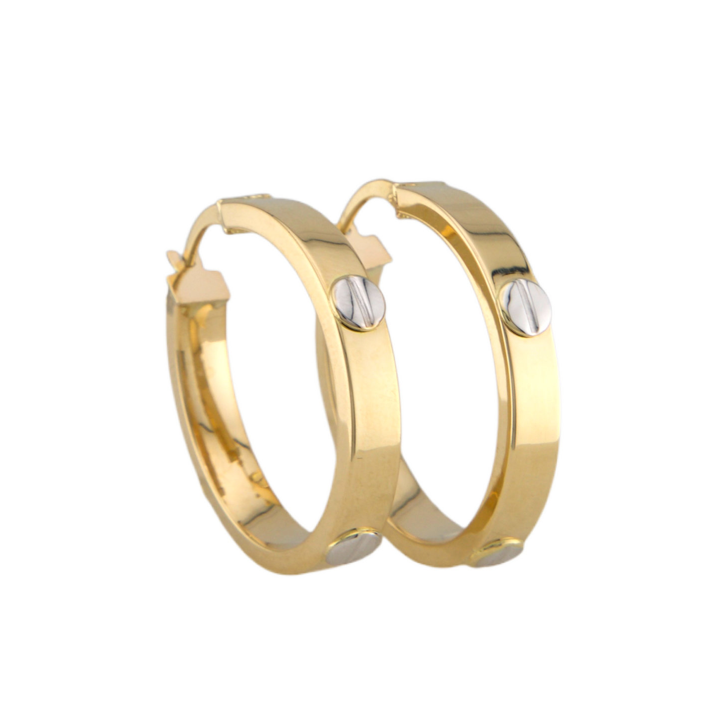 Ultra Fancy Hoops Earrings