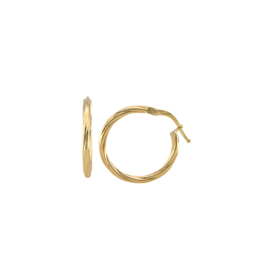 Twisted Hoops Earrings