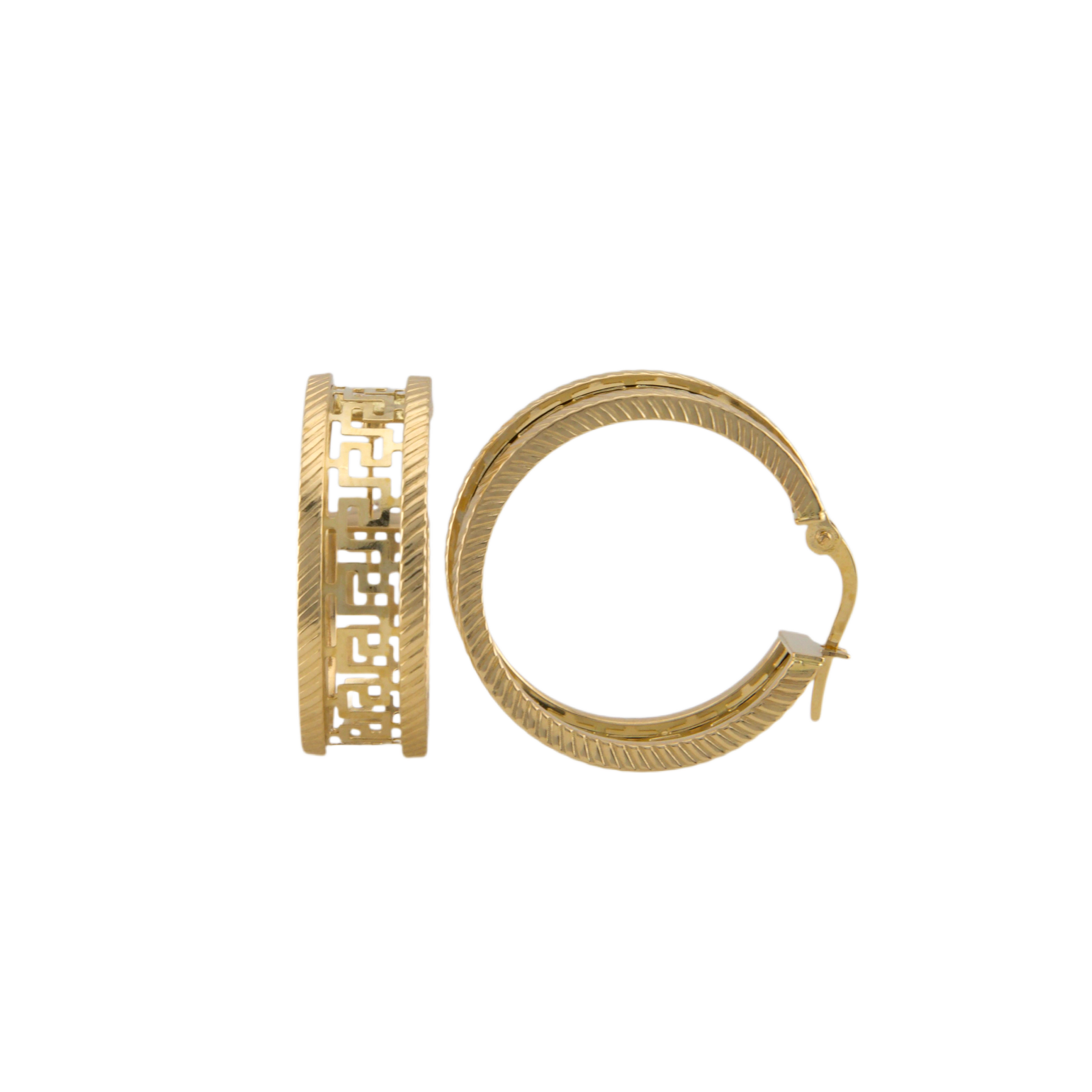 Ultra Fancy Hoops Earrings
