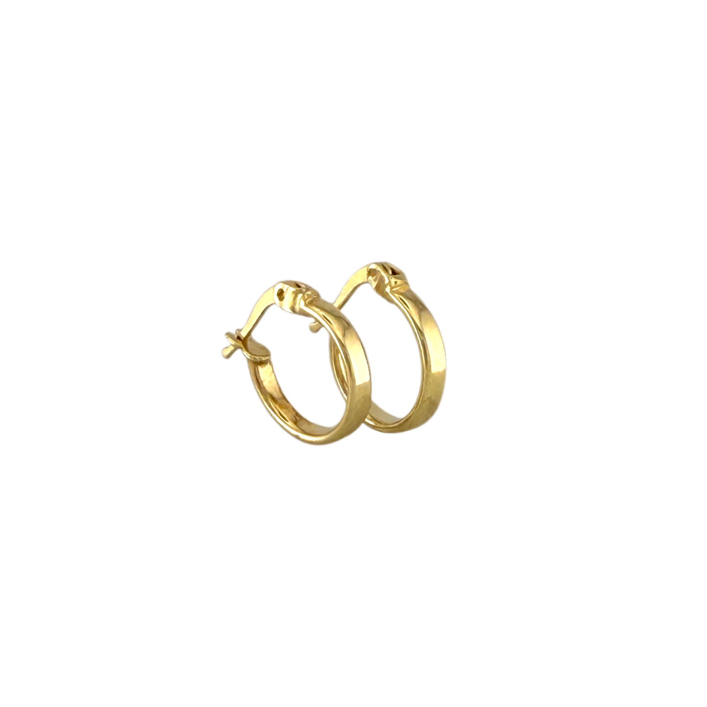 Plain Hoops Earrings