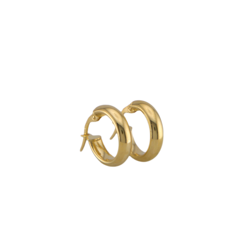 Plain Hoops Earrings