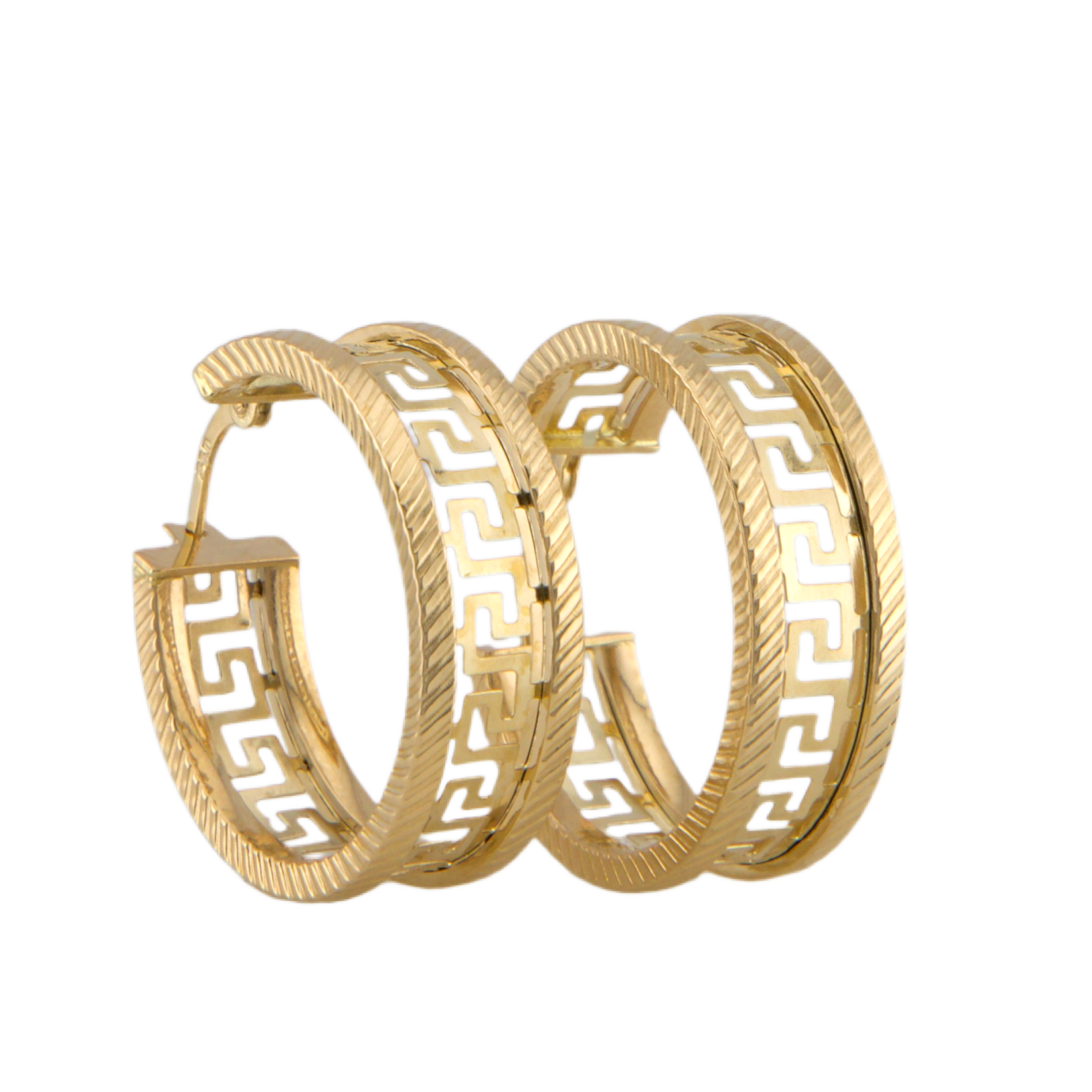 Ultra Fancy Hoops Earrings
