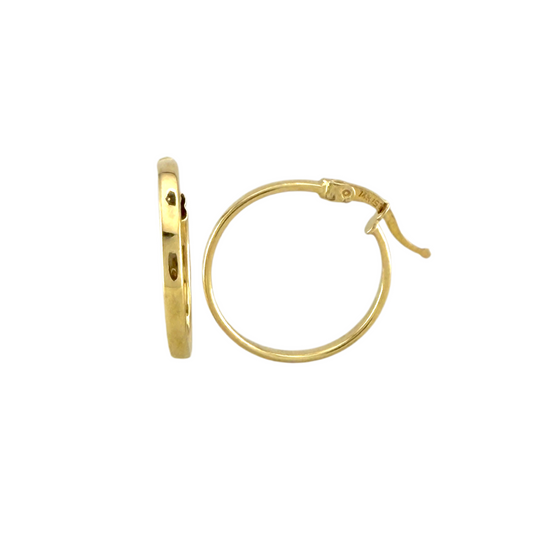 Plain Hoops Earrings