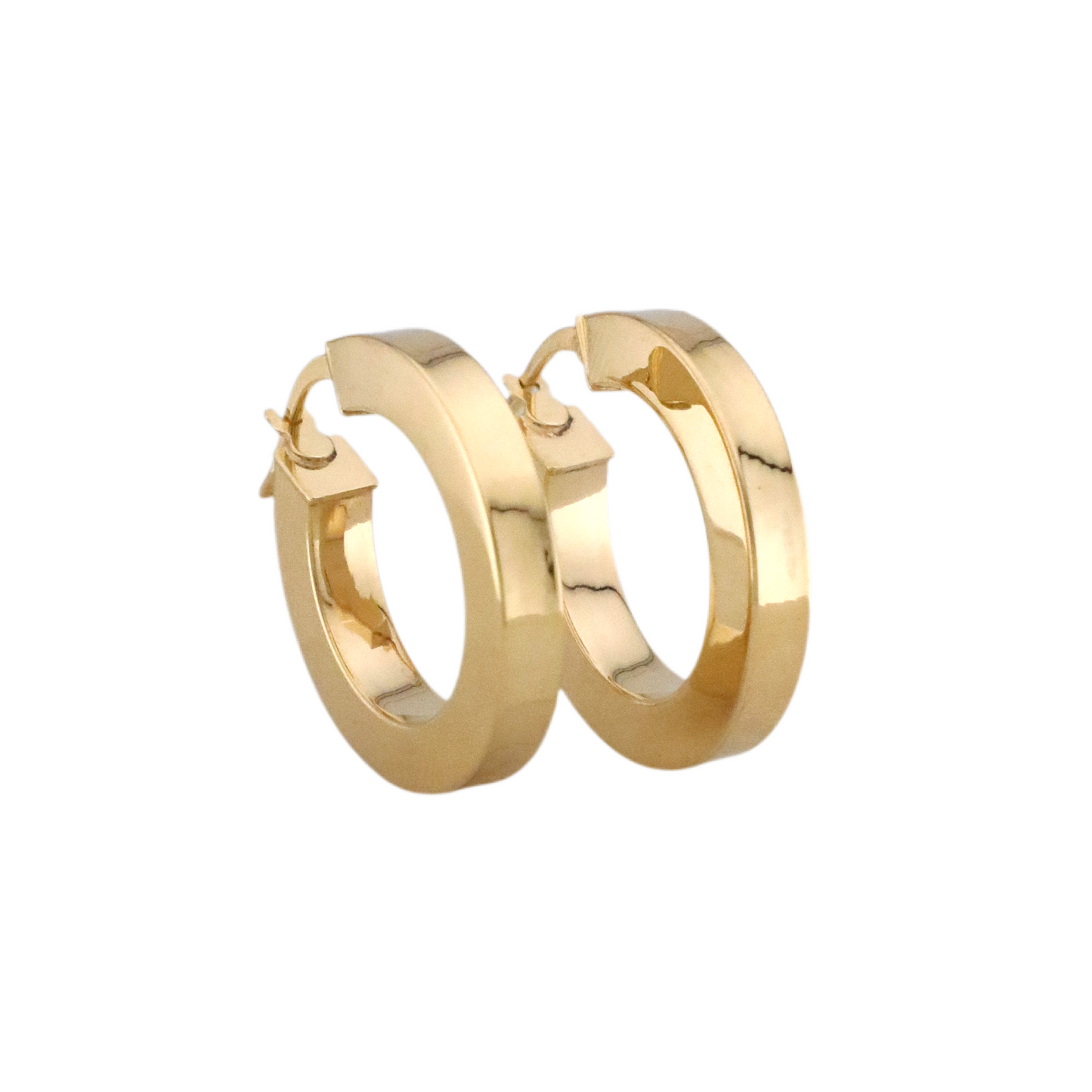 Plain Hoops Earrings