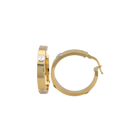 Ultra Fancy Hoops Earrings