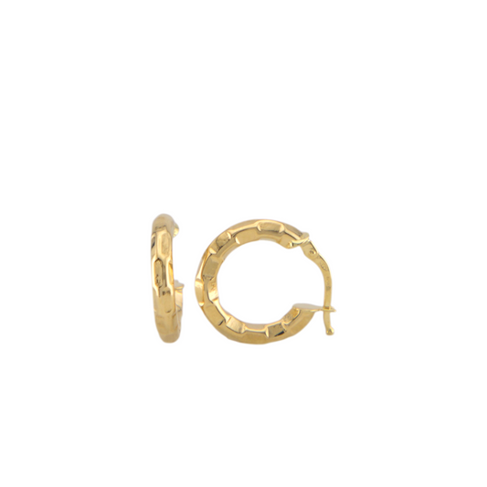 Fancy Hoops Earrings