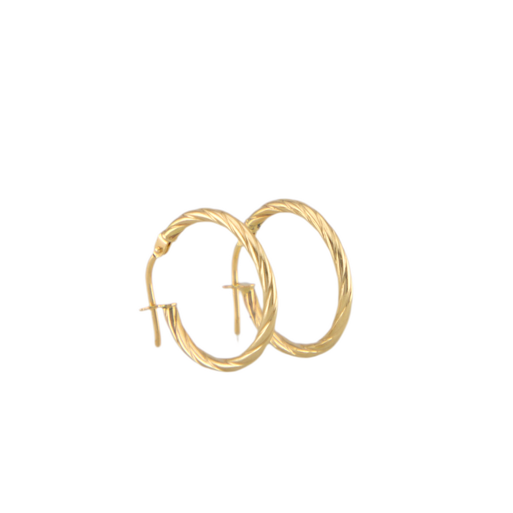 Twisted Hoops Earrings