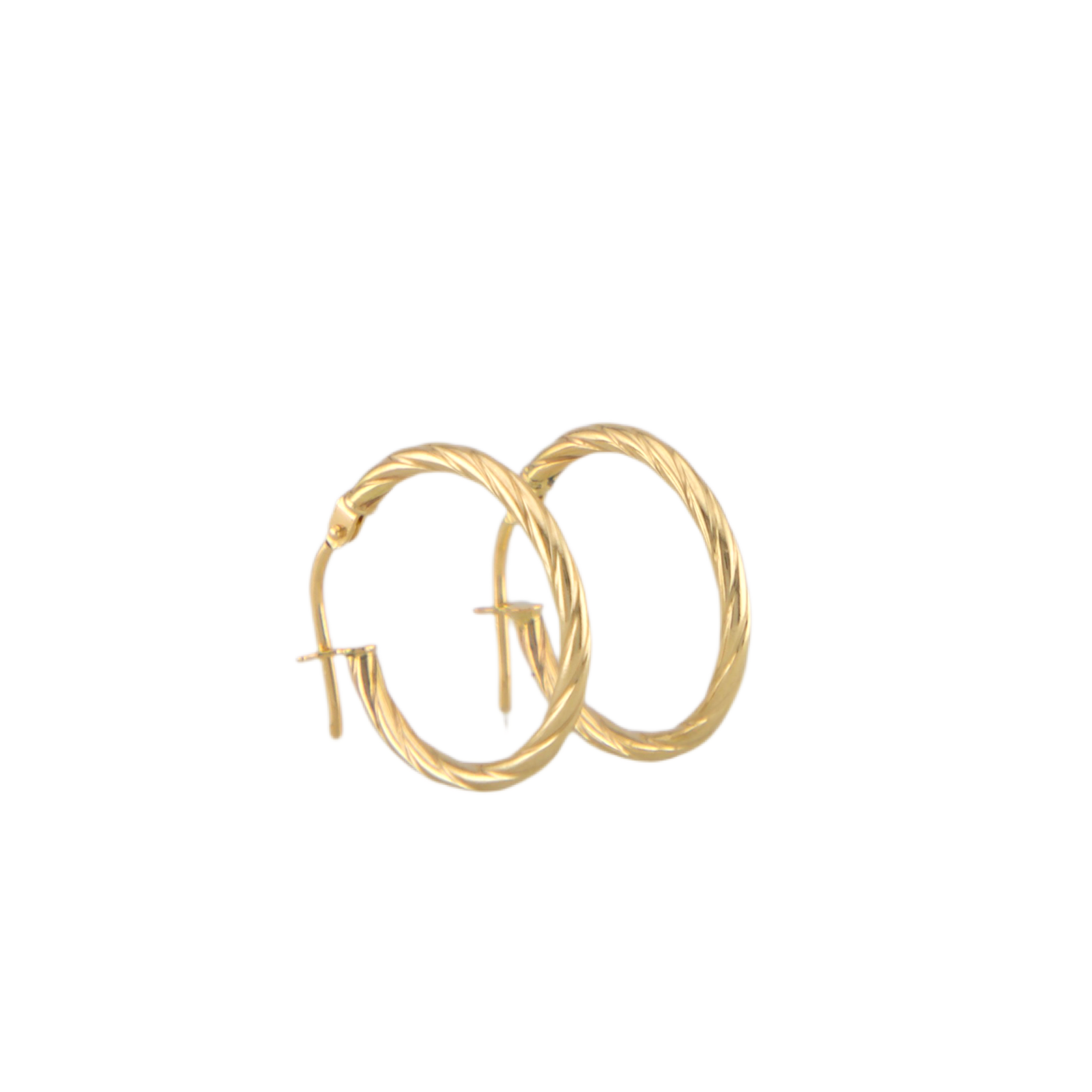 Twisted Hoops Earrings
