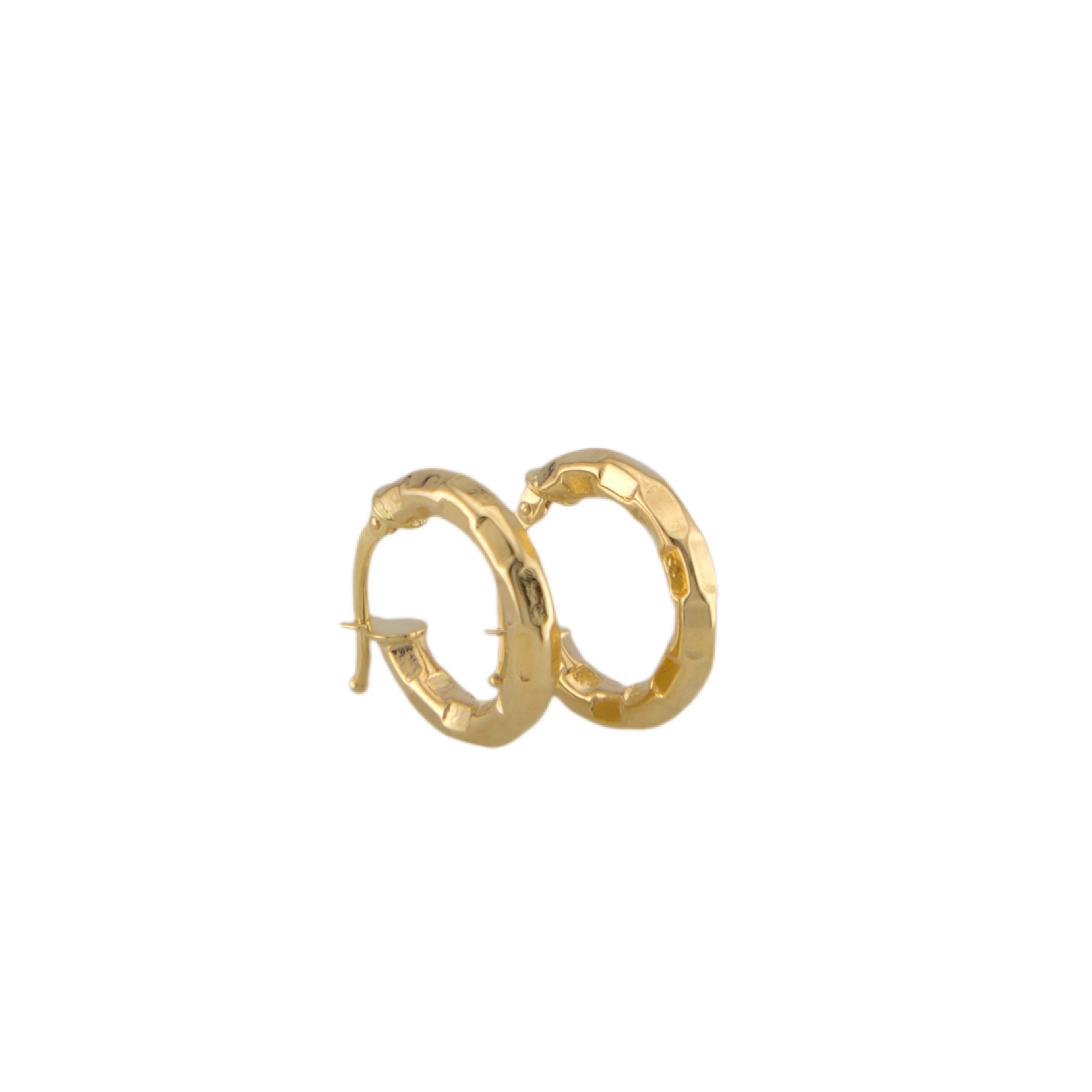 Fancy Hoops Earrings